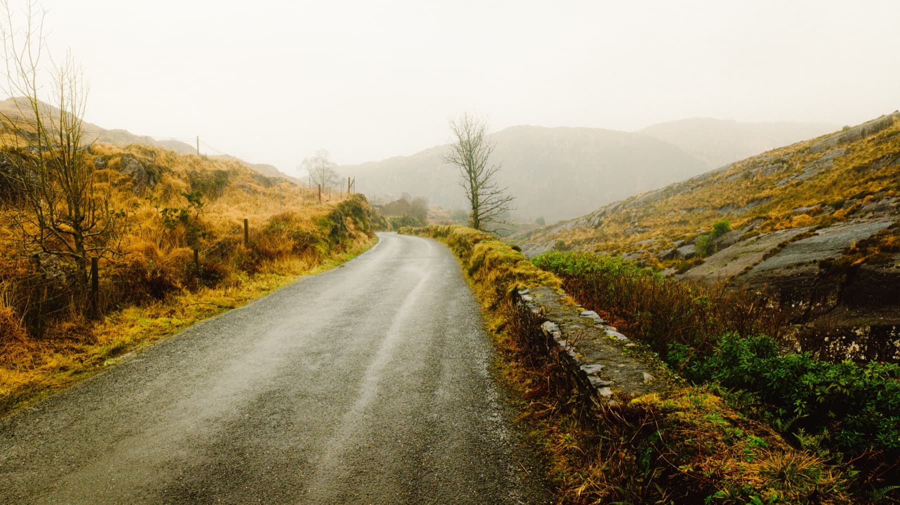 Misty country road with stone wall in Kerry